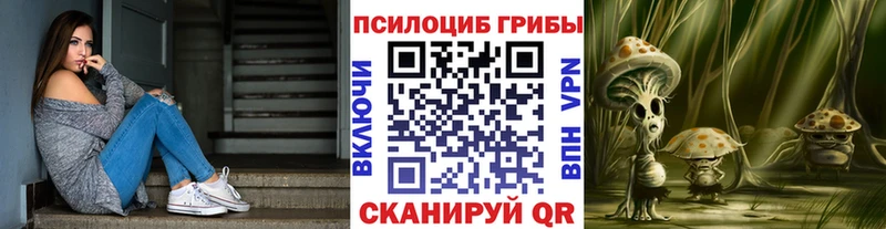 Псилоцибиновые грибы Psilocybine cubensis Томари
