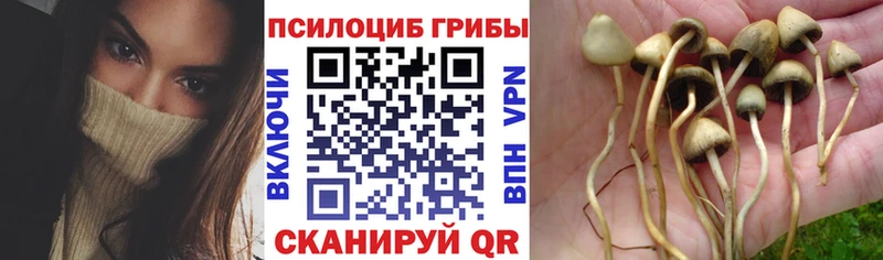 Галлюциногенные грибы Magic Shrooms  Томари 